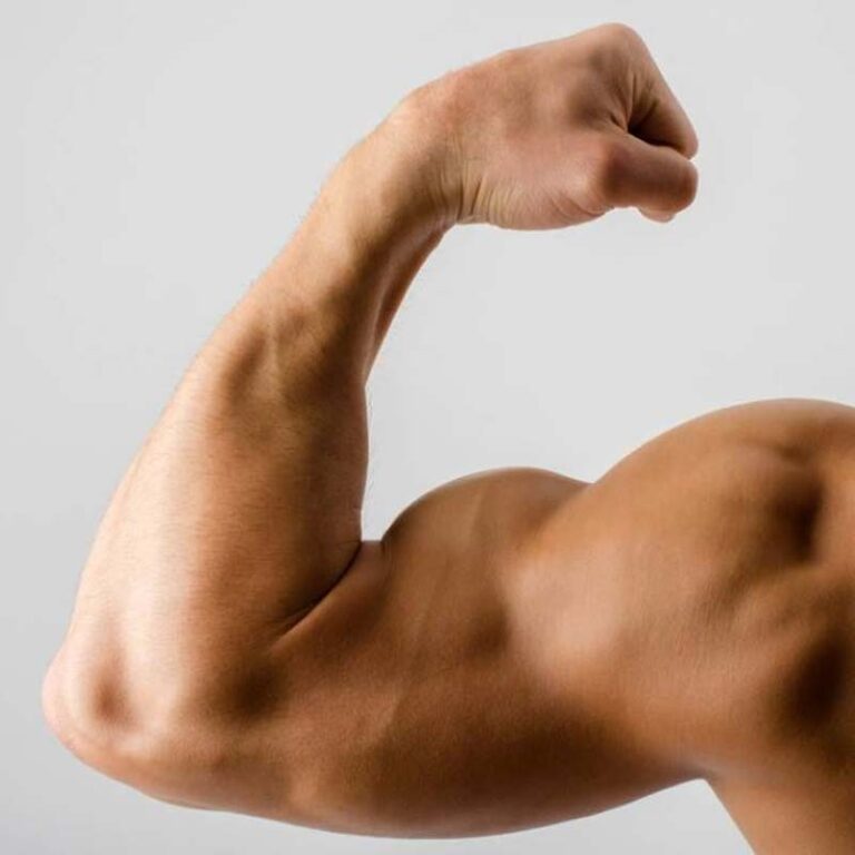 Follistatin for Muscle Growth peptide benefits explained – Only Peptide