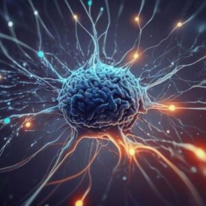 Cerebrolysin Peptide cognitive and neuroprotective benefits