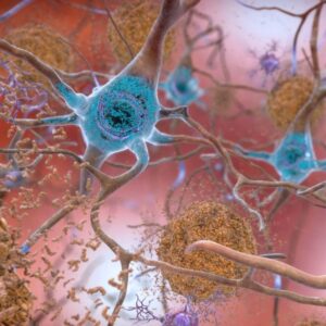 IGF-1 LR3 peptide for muscle growth and recovery