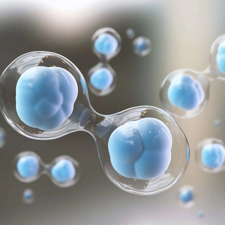KissPeptin-10 Peptide hormone balance illustration