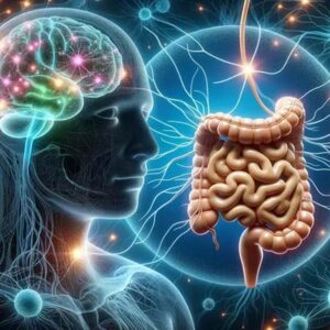 MT-1 and MT-2 peptide structure illustration