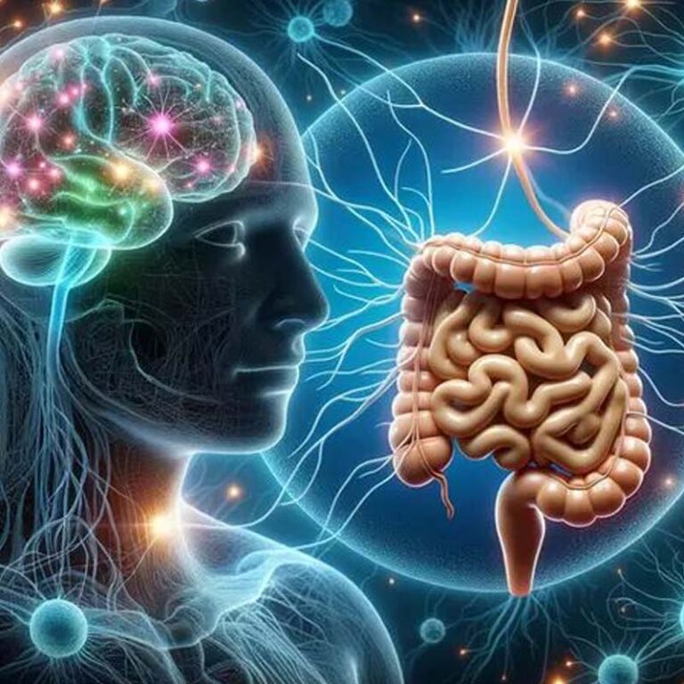 MT-1 and MT-2 peptide structure illustration